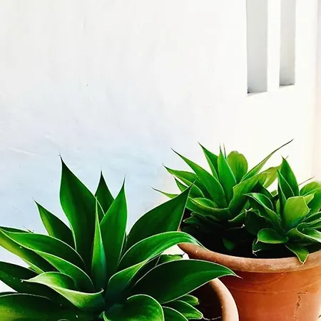 Сasa de vacaciones Casa Do Algarve 4 Bedroom Near *