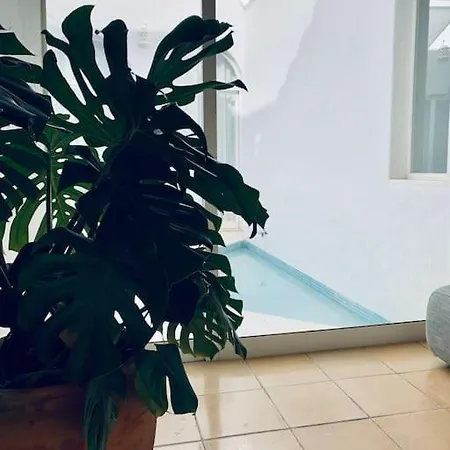 Casa Do Algarve 4 Bedroom Near Holiday home Carvoeiro (Lagoa)